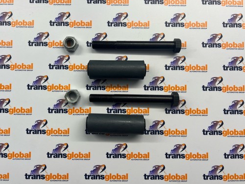 Rear front spring chassis - chassis, bush