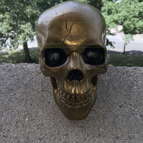 Halloween life size - skull, 20cm