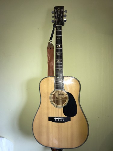 Morris 39m acoustic guitar - acoustic,
