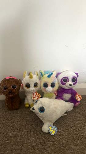 Beanie boo plush - ty,