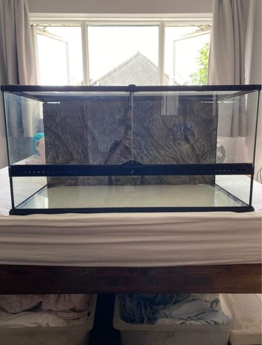 Reptile terrarium starter kit - ,