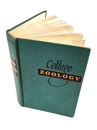 College zoology 1944 hardcover - college,