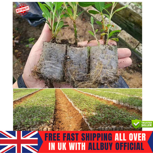 100pcs biodegradable plant - biodegradable,