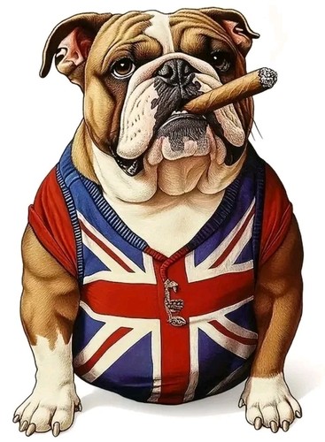 Churchill british bulldog - bulldog, uk