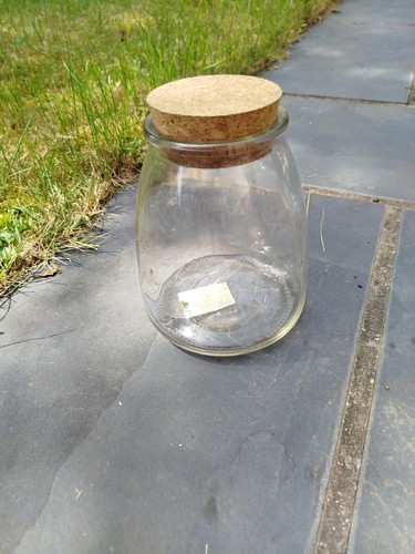 Glass jar terrarium for - glass, sale