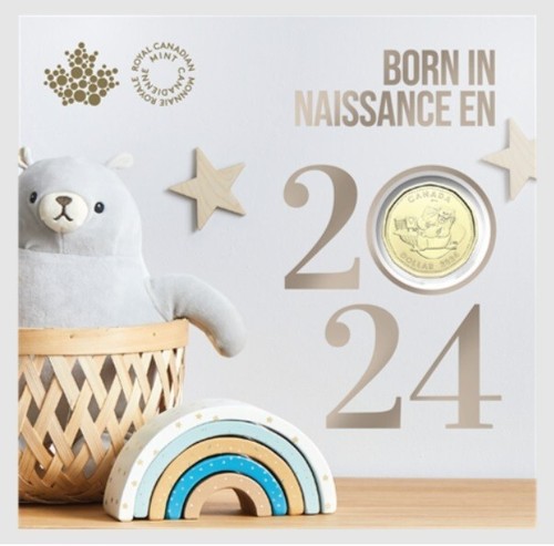 Canada baby born 2024 5 - born,