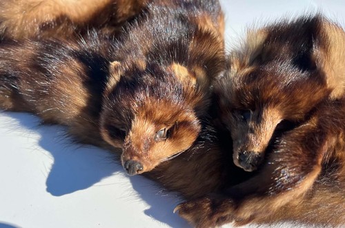 Vintage genuine mink fur - vintage, stole