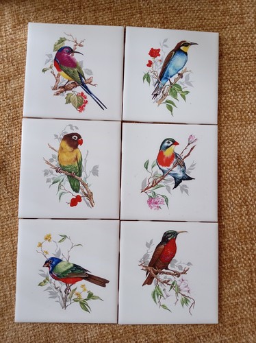Vintage johnson bros bird - johnson,