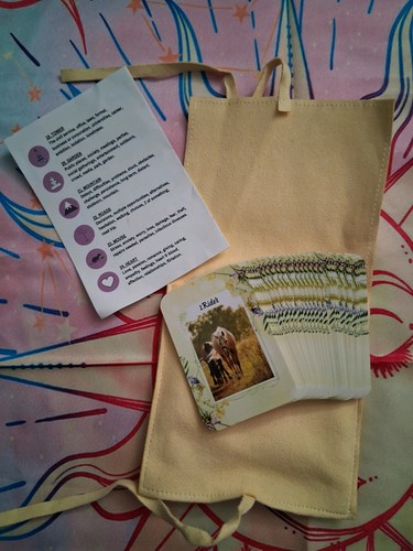Mini summer lenormand pouch - lenormand,