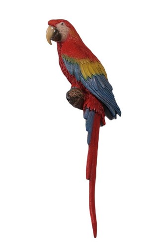 Scarlet macaw wall sculpture - scarlet,