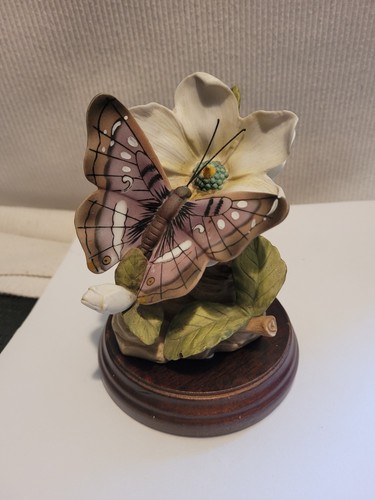 The chancery collection maruri - chancery,