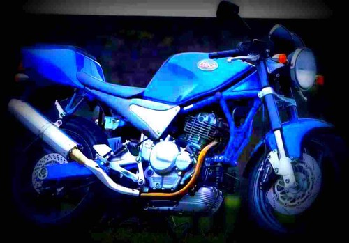Suzuki goose 350 - 350, 3