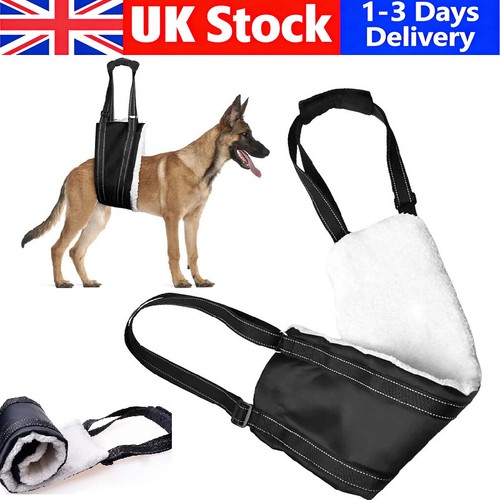 Pets dog mobility - mobility, aids