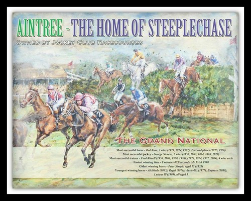 Grand national horse race - grand,