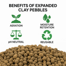 Round Clay Pebbles 1–4mm