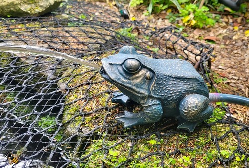 Pond spitter frog garden water - pond,