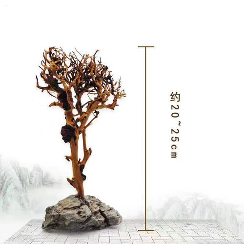 Driftwood tree aquarium fish - tree,