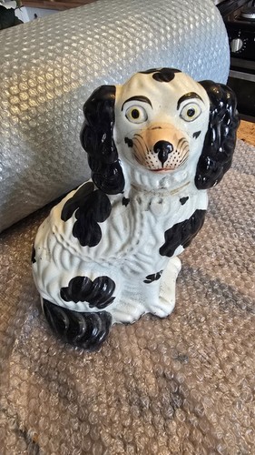 Black and white staffordshire - black,