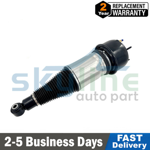 Rear air suspension shock - suspension,