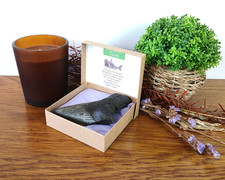 Megalodon Shark Tooth Fossil