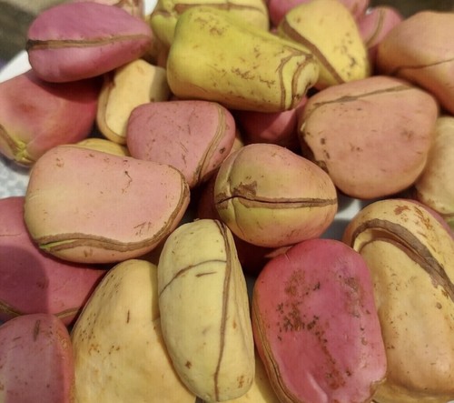 500g new fresh stock - 500g,