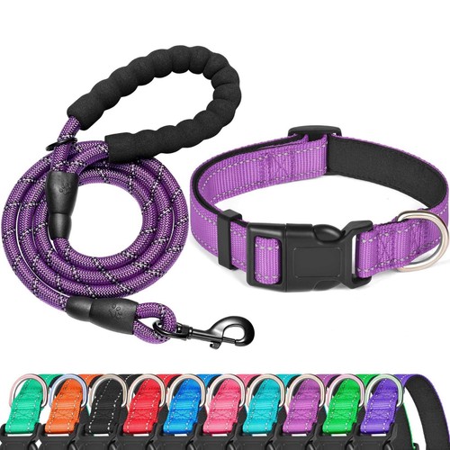 Dog collar lead leash - lead, set