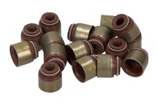 ✅Fits VICTOR REINZ