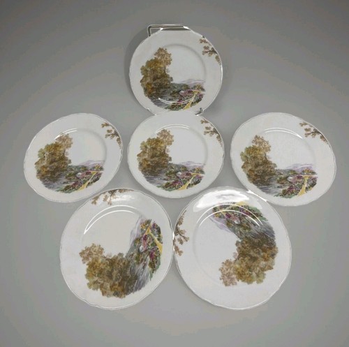 Shelley small plates bone - plates,