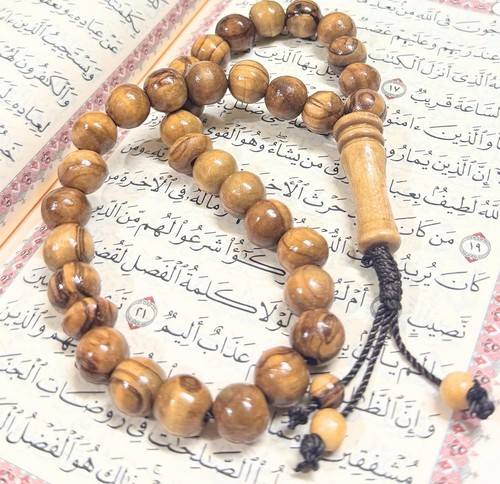 Palestine olive wood - wood,