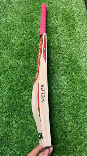 English willow cricket bat big - cricket,