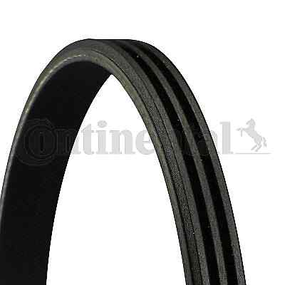 New ribbed belt - belt, for