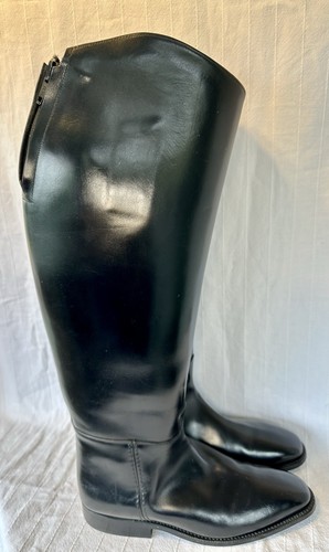Regent showing riding - -,