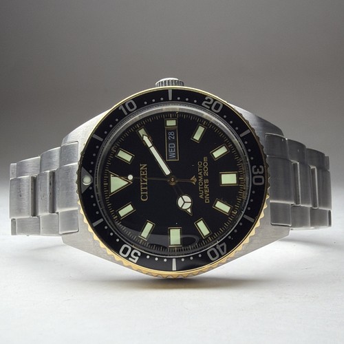 Citizen promaster automatic - promaster,