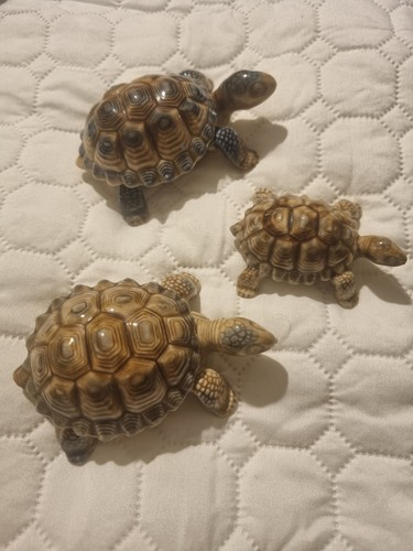 Wade whimsie tortoise set 3 - set,