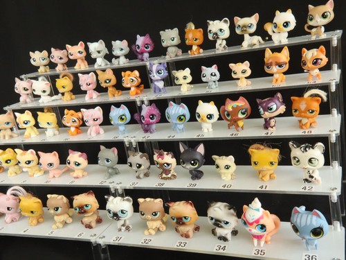 Many lps cats littlest pet - cats,,