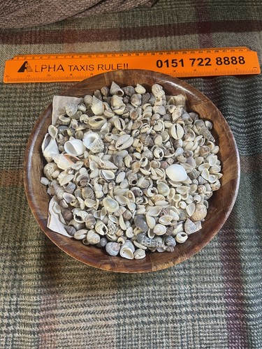 5kg 3lb of - 3.3lb, small