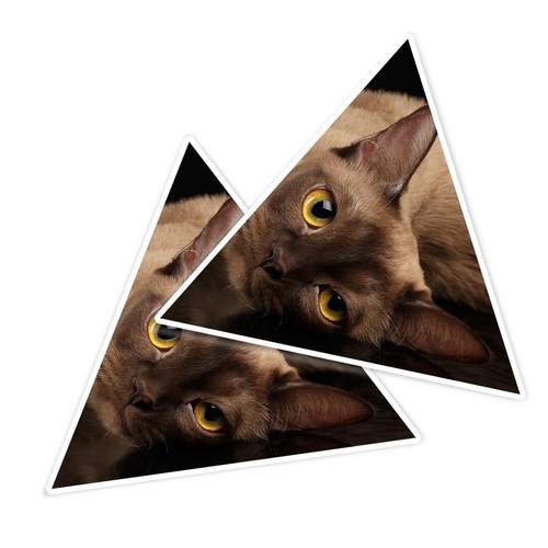 Triangle shape vinyl - 2x,