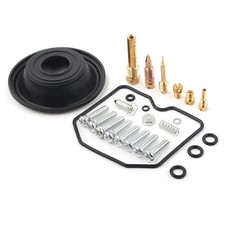 Carburetor Repair Kit Plunger