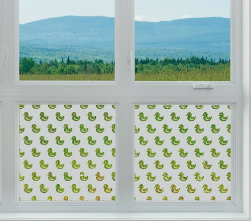 Privacy etched glass window