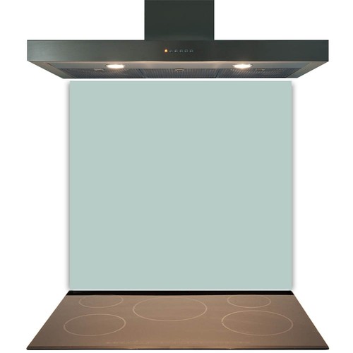 Duck egg glass splashback - duck, for