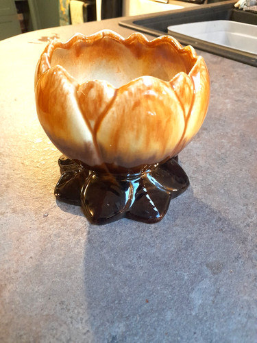 West german drip - drip, tulip