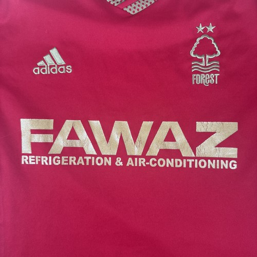 Nottingham forest 2015 2016 - forest, 2015/2016