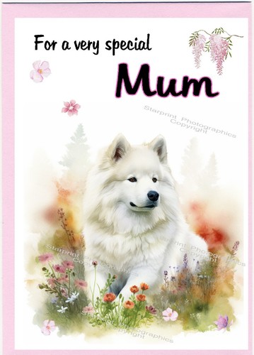 Samoyed dog blank card - dog,