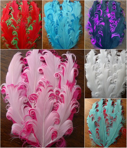 Curly goose feather - curly,
