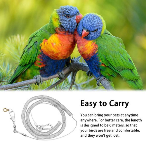 Bird leash leg ring - bird, w/