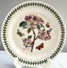 Portmeirion Botanic Garden