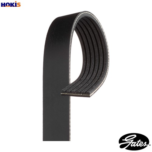 Vribbed belt 6pk1130 - vribbed, for