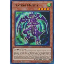 Praying Mantis - BLMR-EN033 -