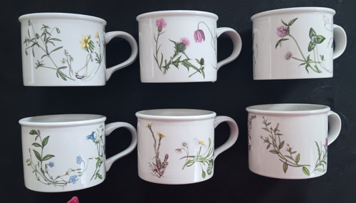 Portmeirion queen hidden - portmeirion,