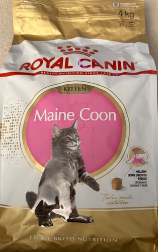 Royal canin maine coon kitten - royal,